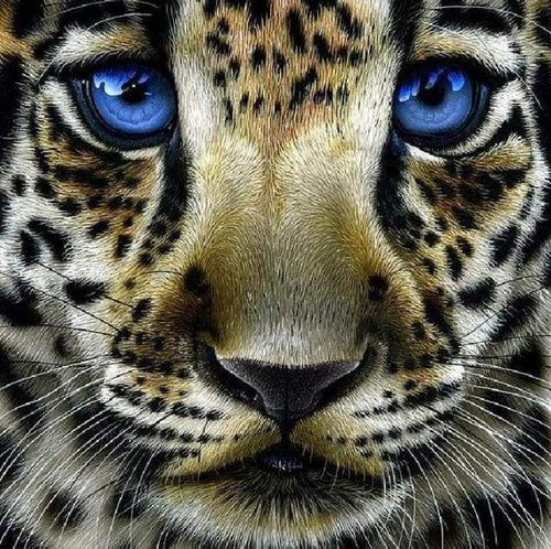 Diamond Painting - Luipaard met blauwe ogen dieren, Diamond Painting Dieren, luipaarden