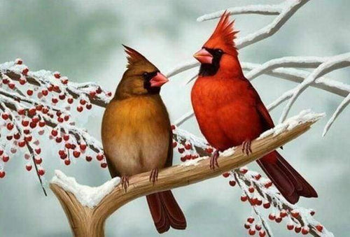 Diamond Painting - Vogeltjes op Tak dieren, vogels, Diamond Painting Dieren