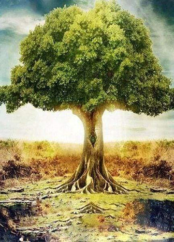 Diamond Painting - Majestueuze boom Diamond Painting Landschappen, landschappen, bomen
