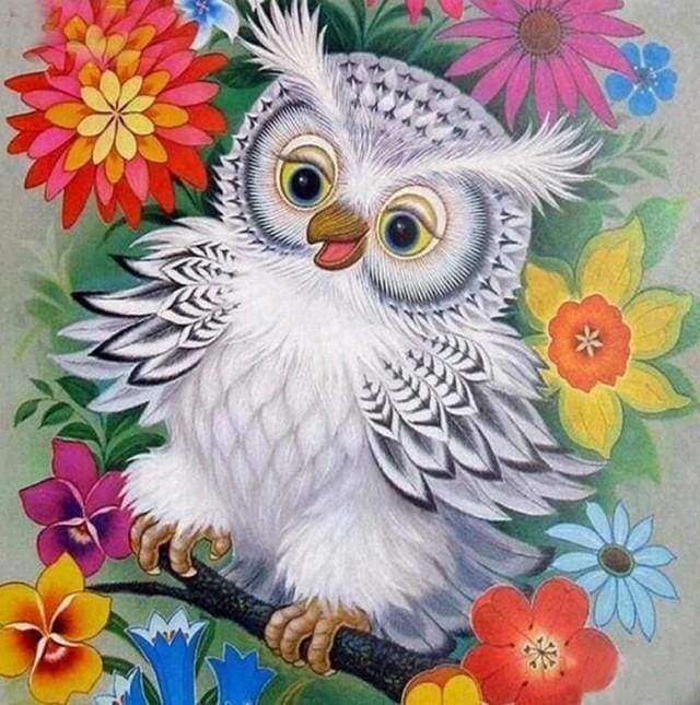 Diamond Painting - Uil en bloemen dieren, Diamond Painting Dieren, bloemen, uilen