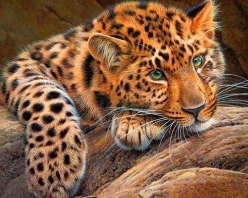 Diamond Painting - Panter dieren, Diamond Painting Dieren, panters