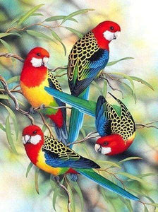 Diamond Painting - Papegaaien op Tak dieren, vogels, Diamond Painting Dieren, papegaaien