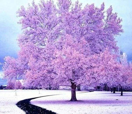 Diamond Painting - Roze boom in de sneeuw Diamond Painting Landschappen, landschappen, bomen, winter