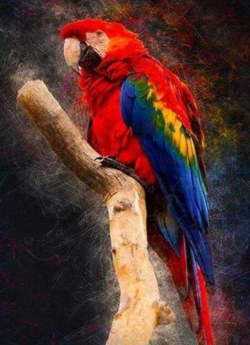 Diamond Painting - Rode papegaai dieren, vogels, Diamond Painting Dieren, papegaaien