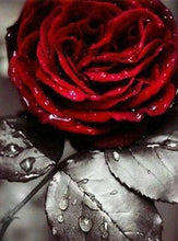 Afbeelding in Gallery-weergave laden, Diamond Painting - Rode roos Diamond Painting Bloemen, bloemen