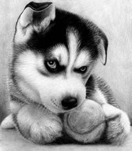 Afbeelding in Gallery-weergave laden, Diamond Painting - Kleine husky dieren, Diamond Painting Dieren