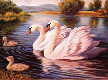 Afbeelding in Gallery-weergave laden, Diamond Painting - Zwanen dieren, vogels, Diamond Painting Dieren, zwanen