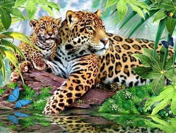 Diamond Painting - De luipaardfamilie dieren, Diamond Painting Dieren, luipaarden