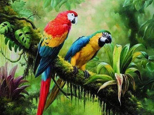 Diamond Painting - De papegaaien dieren, vogels, Diamond Painting Dieren, papegaaien