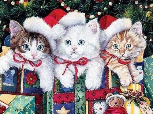 Diamond Painting - Kerst met drie kittens dieren, katten, Kerstmis, Diamond Painting Dieren