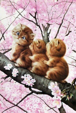 Afbeelding in Gallery-weergave laden, Diamond Painting - Drie kittens op een tak dieren, katten, Diamond Painting Dieren