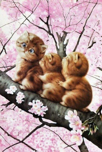 Diamond Painting - Drie kittens op een tak dieren, katten, Diamond Painting Dieren