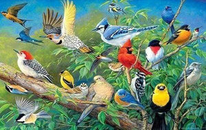 Diamond Painting - Tropische vogels dieren, vogels, Diamond Painting Dieren