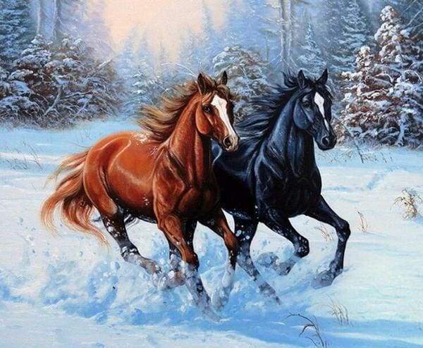 Diamond Painting - Twee paarden in de winter dieren, Diamond Painting Dieren, paarden, winter