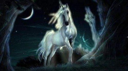 Diamond Painting - Eenhoorn in het donker dieren, Diamond Painting Dieren, eenhoorns