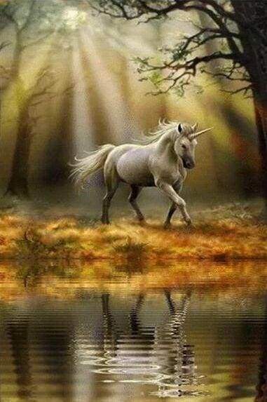 Diamond Painting - Eenhoorn aan de waterkant dieren, Diamond Painting Dieren, eenhoorns