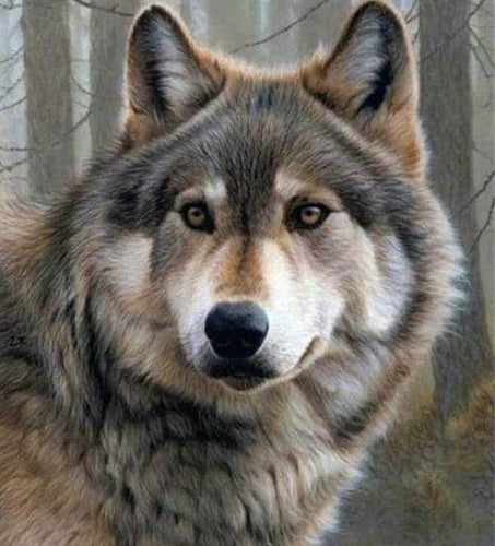 Diamond Painting - Wolf portret dieren, Diamond Painting Dieren