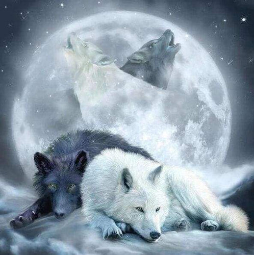 Diamond Painting - Wolven huilen naar de maan dieren, Diamond Painting Dieren, konijnen, wolven