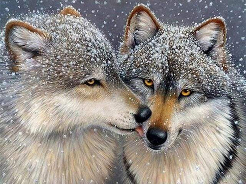 Diamond Painting - Wolven onder de sneeuw dieren, Diamond Painting Dieren, konijnen, wolven