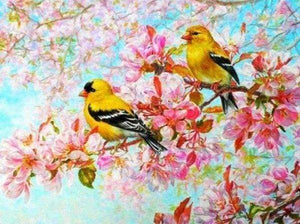 Diamond Painting - Gele vogels dieren, vogels, Diamond Painting Dieren