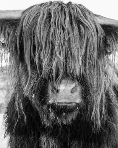 Schilderen op Nummer - Slordig