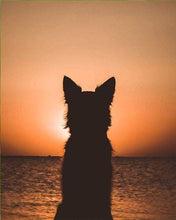 Afbeelding in Gallery-weergave laden, Schilderen op Nummer - Hond en zonsondergang