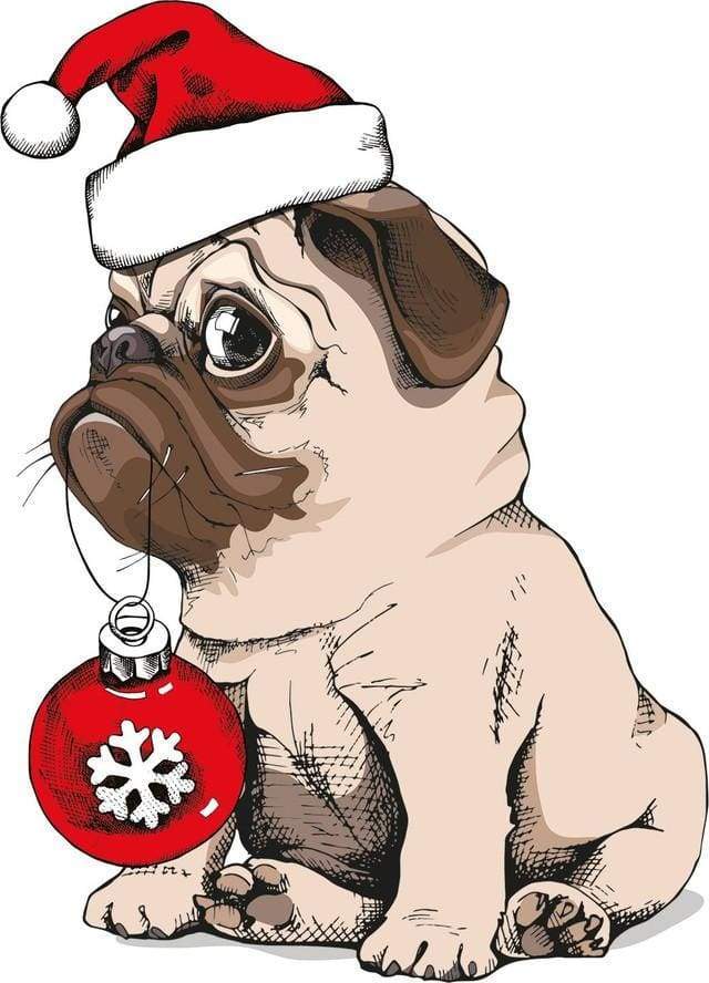 Schilderen op Nummer - Hond tijdens Kerstmis