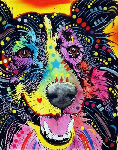 Schilderen op Nummer - Hond Mode Kleur Lachend
