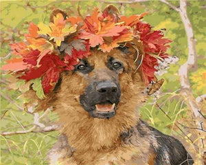 Schilderen op Nummer - Hond in de herfst