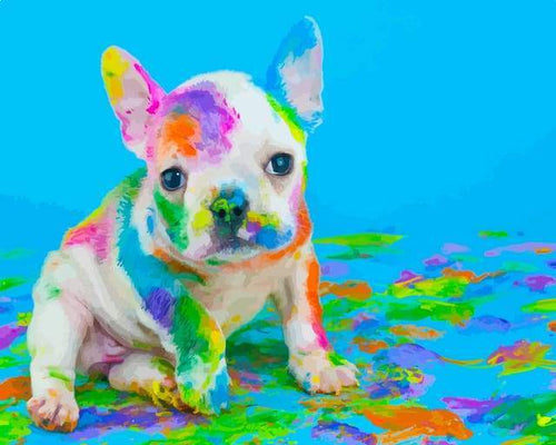 Schilderen op Nummer - Honden schilderij