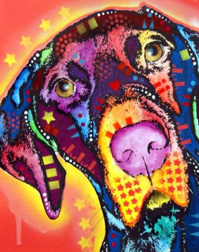 Schilderen op Nummer - Hond met sterren