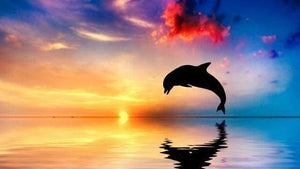 Schilderen op Nummer - Dolfijn bij zonsondergang