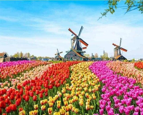 Schilderen op Nummer - Hollandse molenbloemen