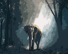 Afbeelding in Gallery-weergave laden, Schilderen op Nummer - Olifant in het donkere bos