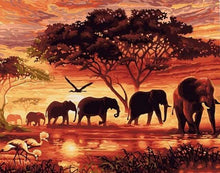 Afbeelding in Gallery-weergave laden, Schilderen op Nummer - Olifanten bij zonsondergang