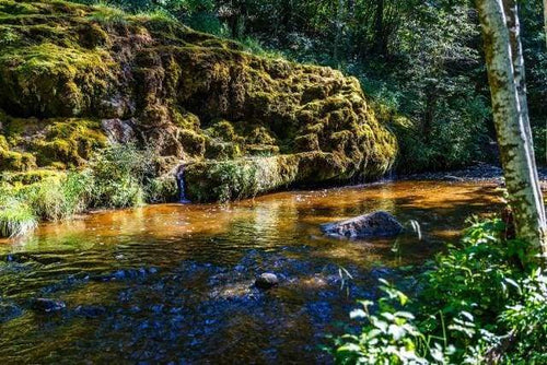 Schilderen op Nummer - Visserij rivier