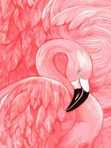 Schilderen op Nummer - Flamingo