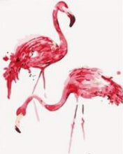 Afbeelding in Gallery-weergave laden, Schilderen op Nummer - Flamingo&#39;s