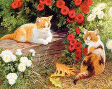 Afbeelding in Gallery-weergave laden, Schilderen op Nummer - Bloemen en kittens