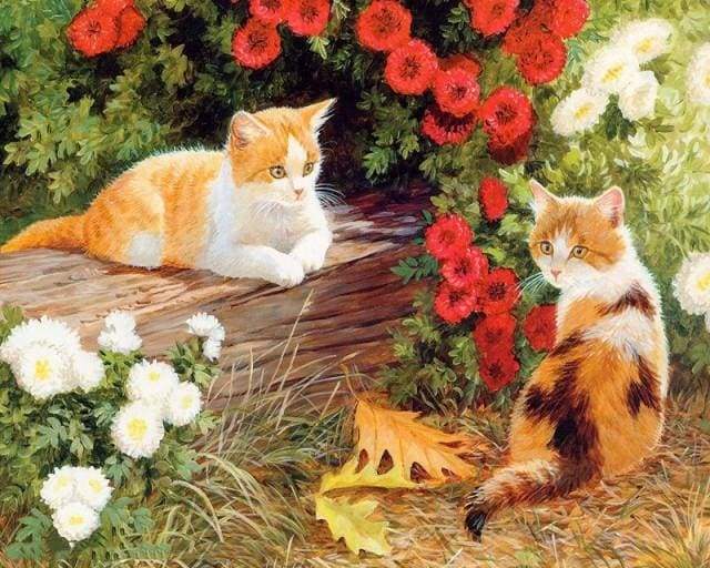 Schilderen op Nummer - Bloemen en kittens