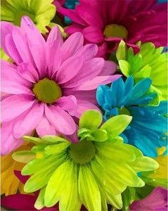Schilderen op Nummer - Bloemen met felle kleuren