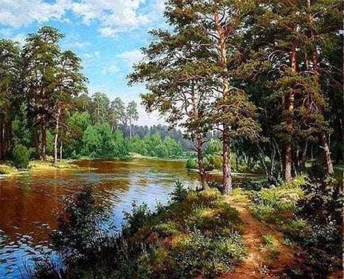 Schilderen op Nummer - Boslandschap Zomertijd