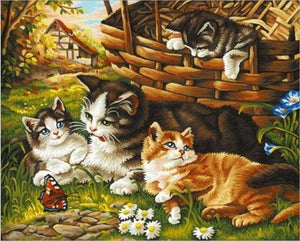 Schilderen op Nummer - Vier katten