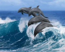Afbeelding in Gallery-weergave laden, Schilderen op Nummer - Vier dolfijnen