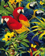 Afbeelding in Gallery-weergave laden, Schilderen op Nummer - Vier papegaaien