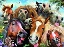 Afbeelding in Gallery-weergave laden, Schilderen op Nummer - Grappige paarden