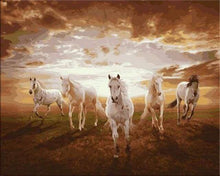 Afbeelding in Gallery-weergave laden, Schilderen op Nummer - Galopperende witte paarden