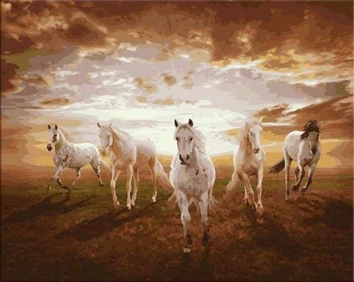 Schilderen op Nummer - Galopperende witte paarden