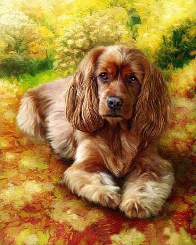 Schilderen op Nummer - Golden retriever