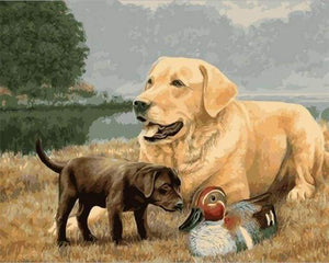 Schilderen op Nummer - Golden Retriever Hond